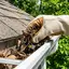 Gutter cleaning service in Fresno, CA for clogged gutters and drainage