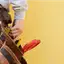 Handyman repair service in Fresno, CA for home fixes and improvements